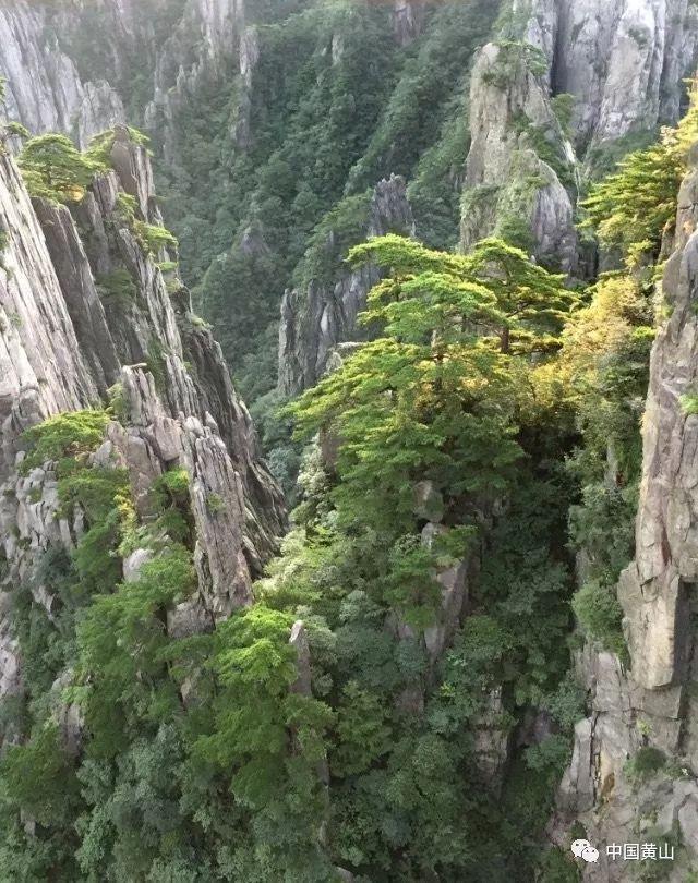 国内首个“熊出没”动画主题乐园落户浙江临海